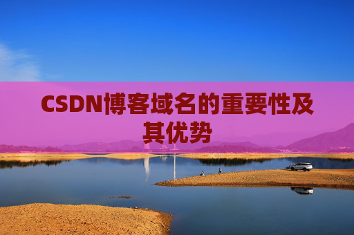 CSDN博客域名的重要性及其优势